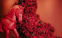 欧美房肏屄视频